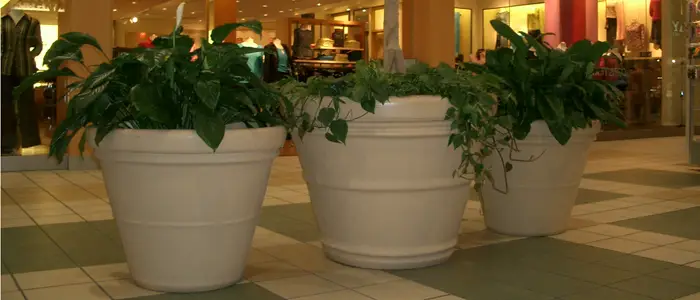 Fiberglass Double Roll Rim Planters